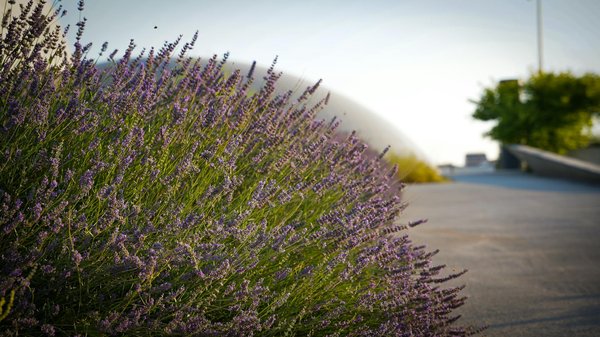 Surpresseur d'eau : conseils pour un choix éclairé et efficace